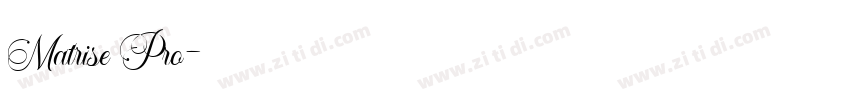 Matrise Pro字体转换